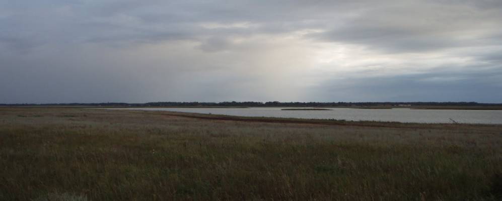 
            Фотография Светлого