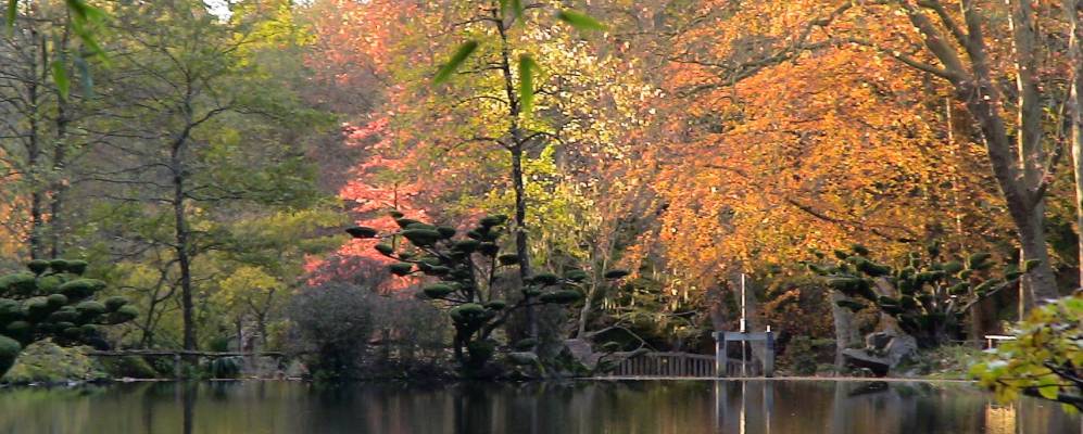 
            Фотография Молеврье