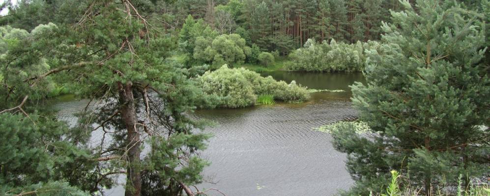 Фотография Колодливо