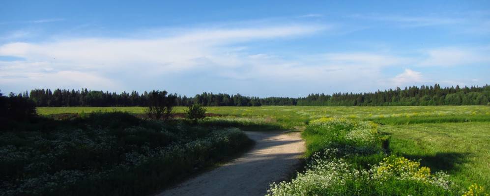 
            Фотография деревни Новые Низковицы