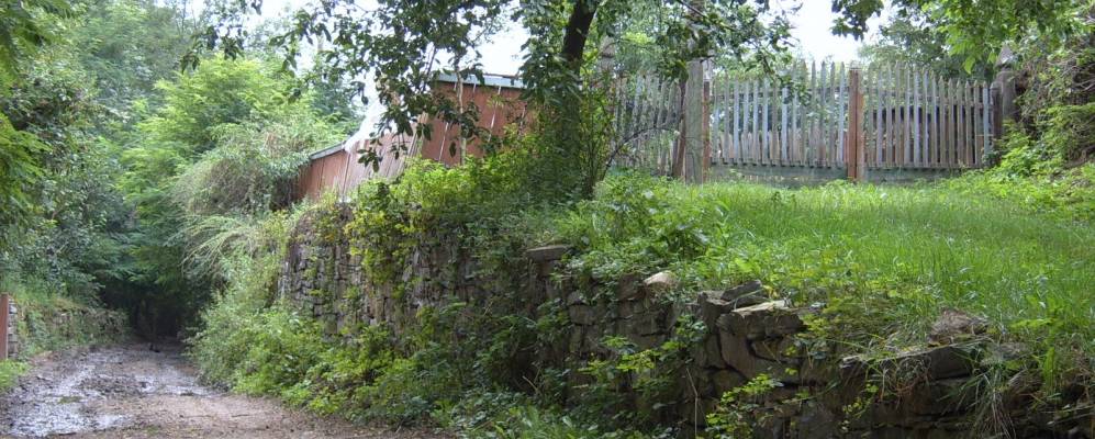 
            Фотография Днестрового