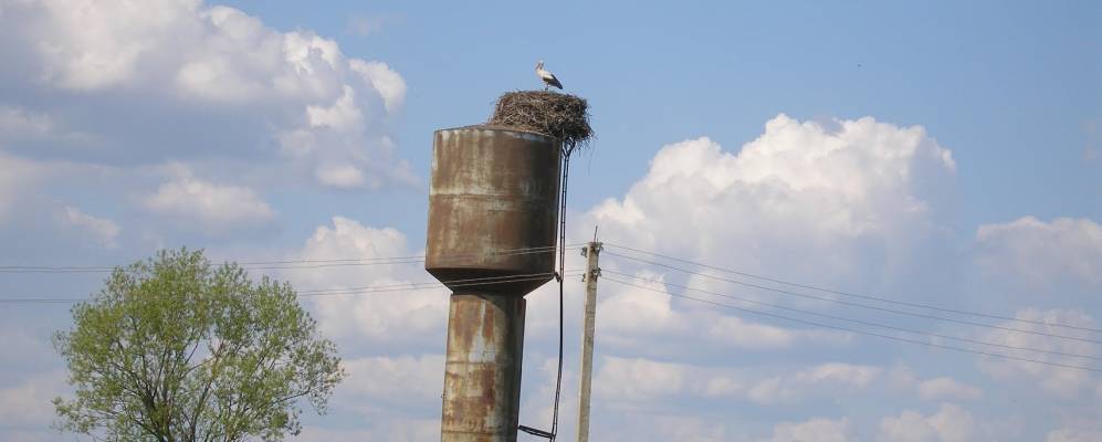 
            Фотография Сельстроя