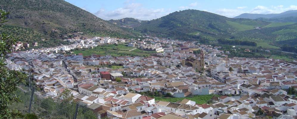 
            Фотография Альгодоналеса