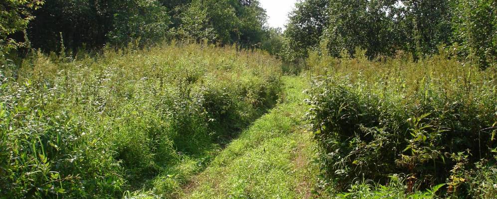 Фотография Коняево