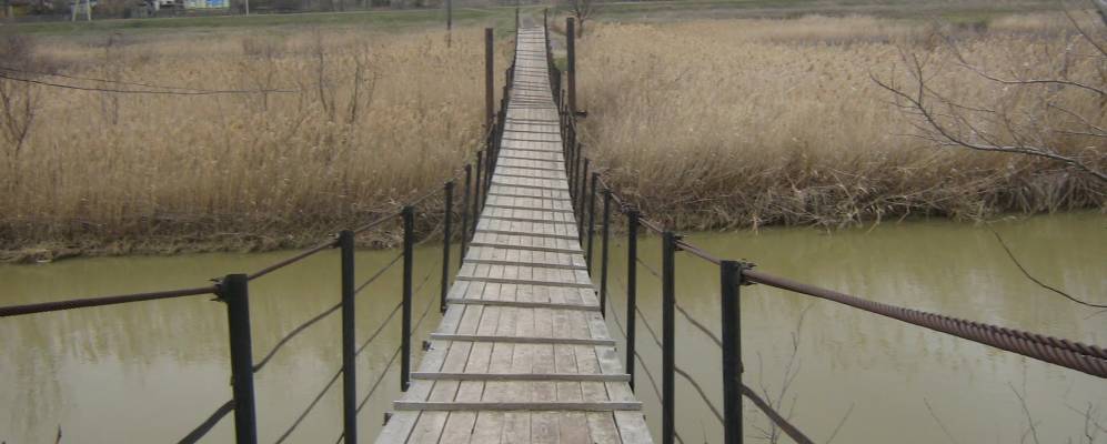 
            Фотография Дружбы