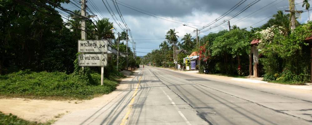 
            Фотография Липа-Ноя