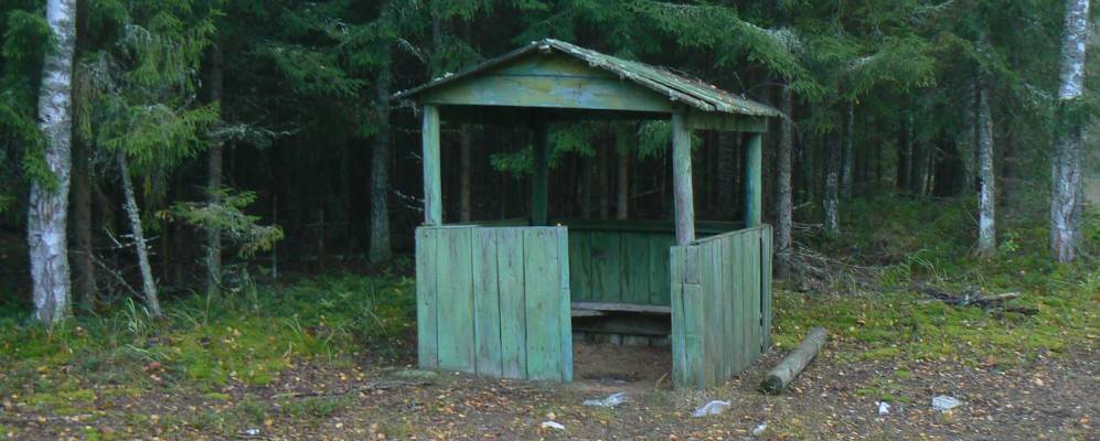 
            Фотография Нового