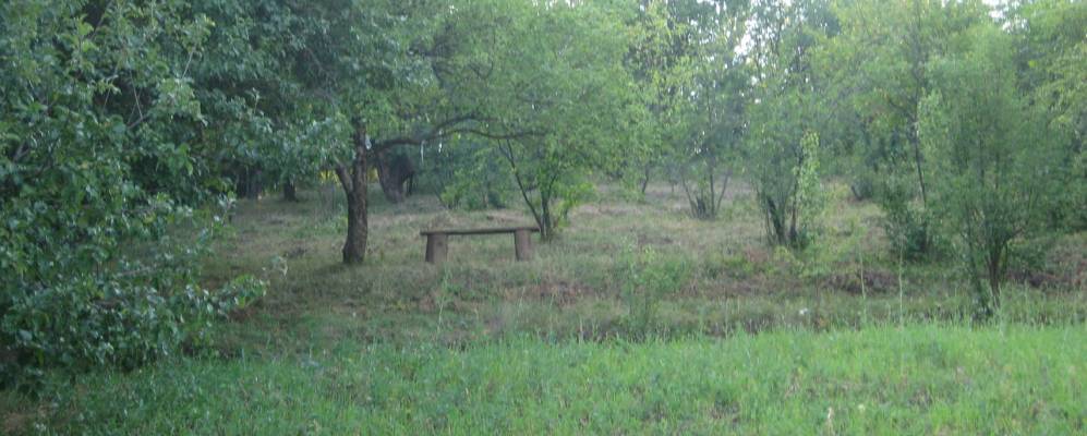 Фотография Покровки