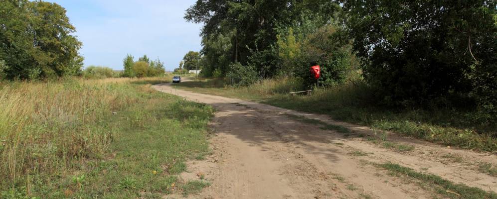 
            Фотография Саракамыша