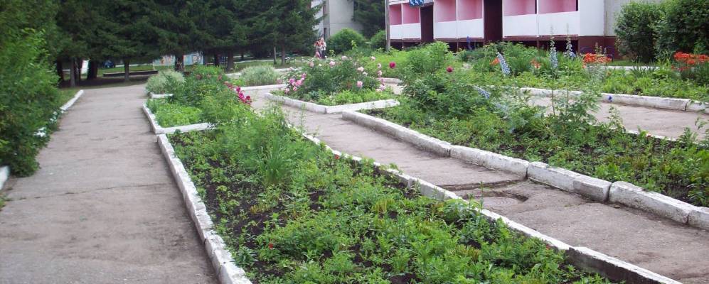 Фотография Шатракасов