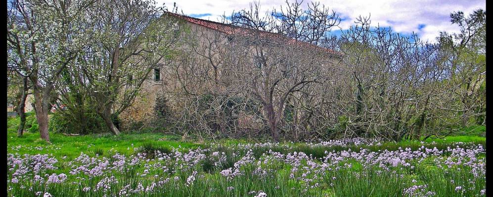 
            Фотография Сомо