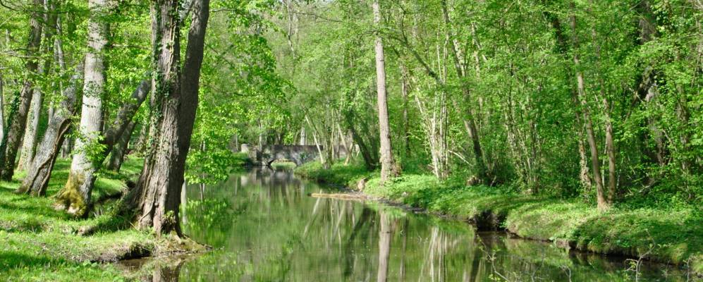 
            Фотография Фонтэн-Су-Жуи