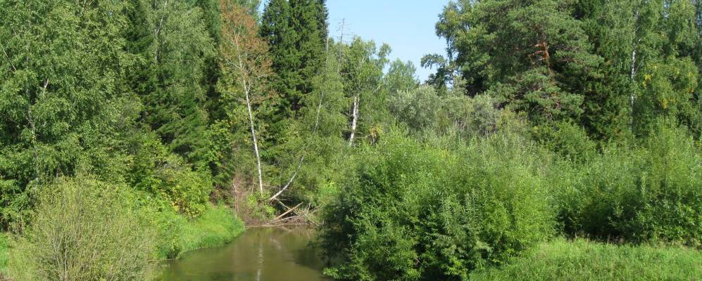 
            Фотография Верх-Четска