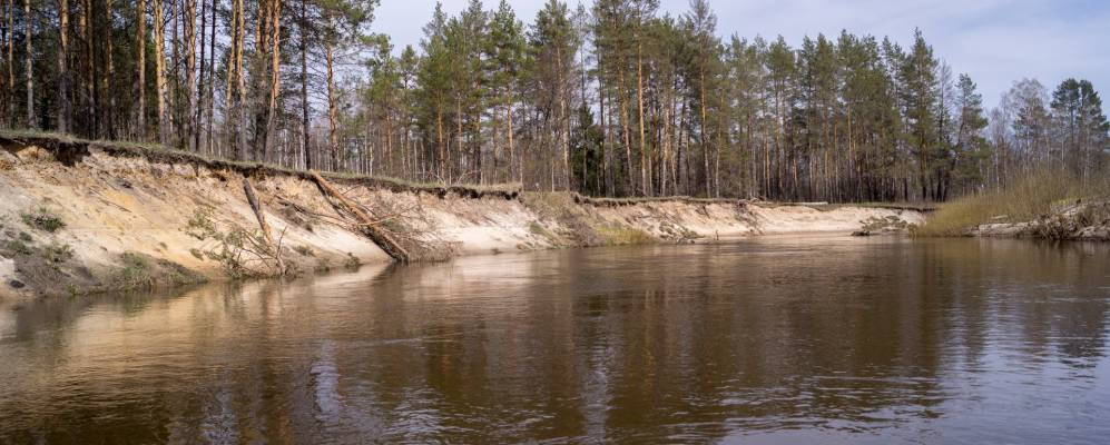 
            Фотография Шумляна