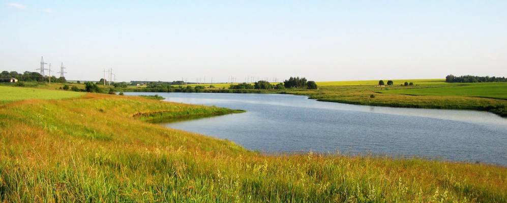 
            Фотография Поддолгого