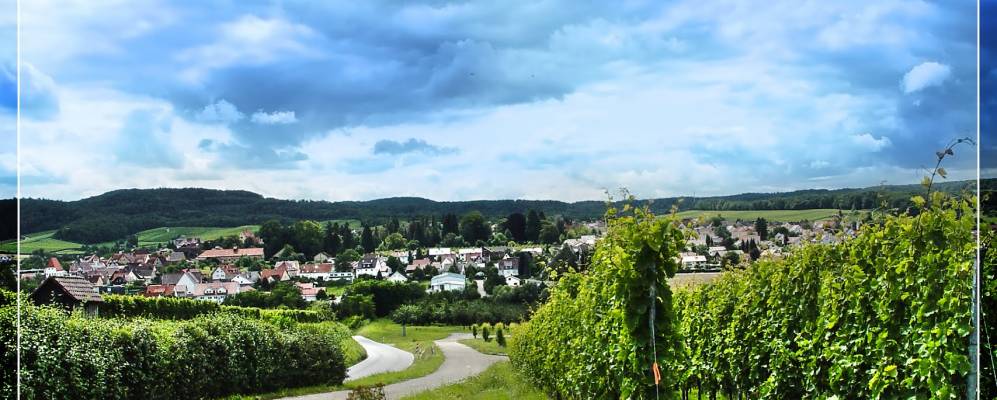 
            Фотография Леренштайнсфельда