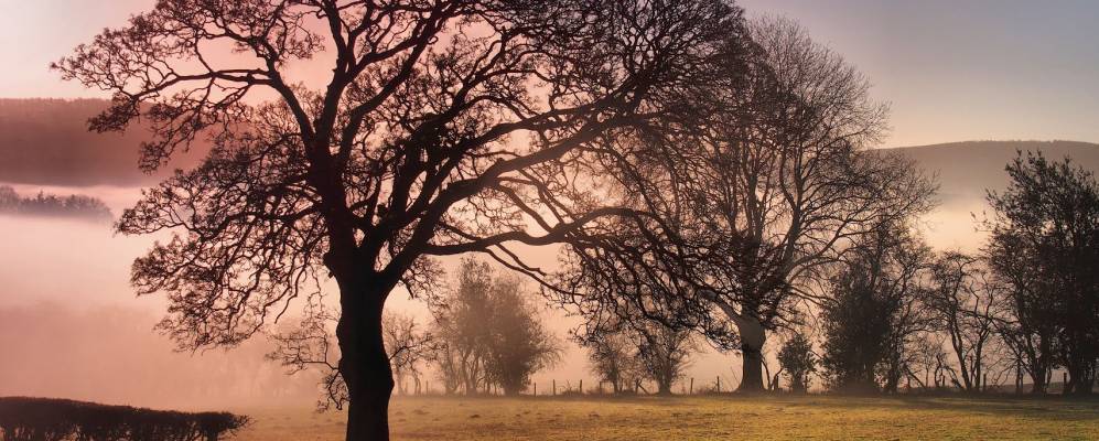 
            Фотография Bishops Castle