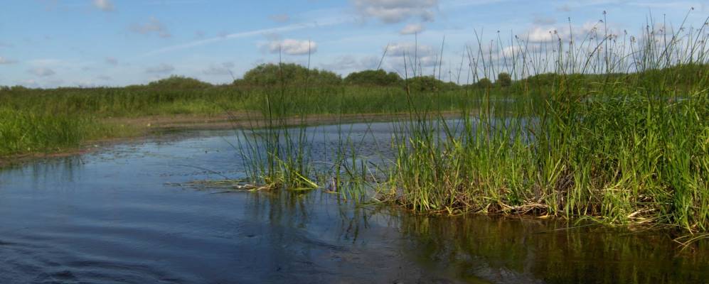 
            Фотография Ковалевщины