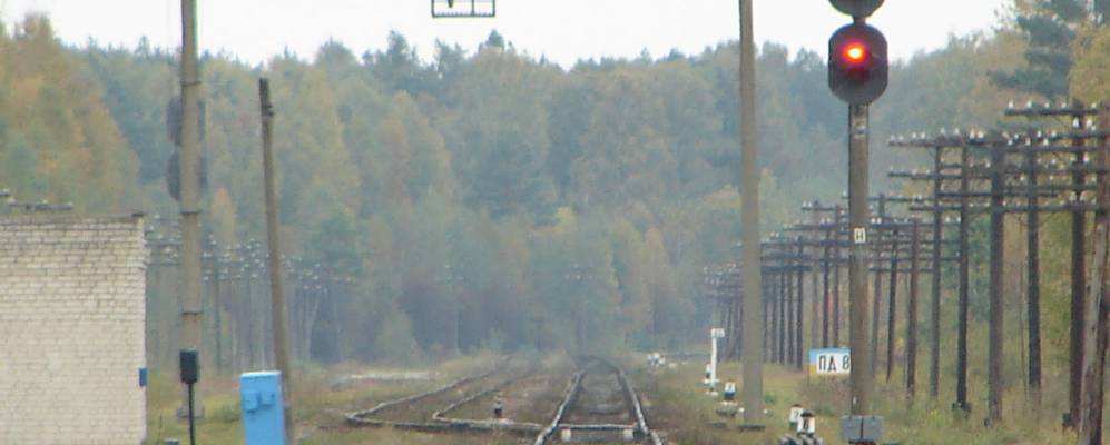 
            Фотография Лютовки