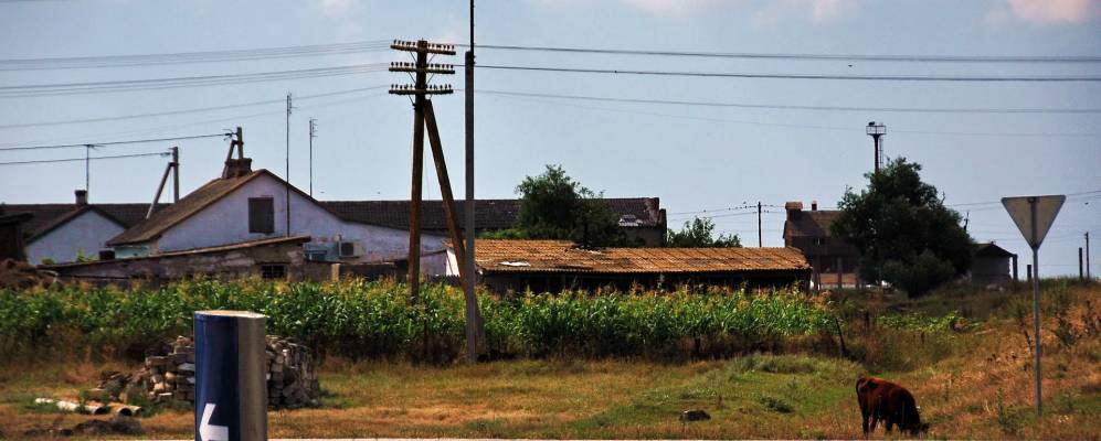 
            Фотография Батального