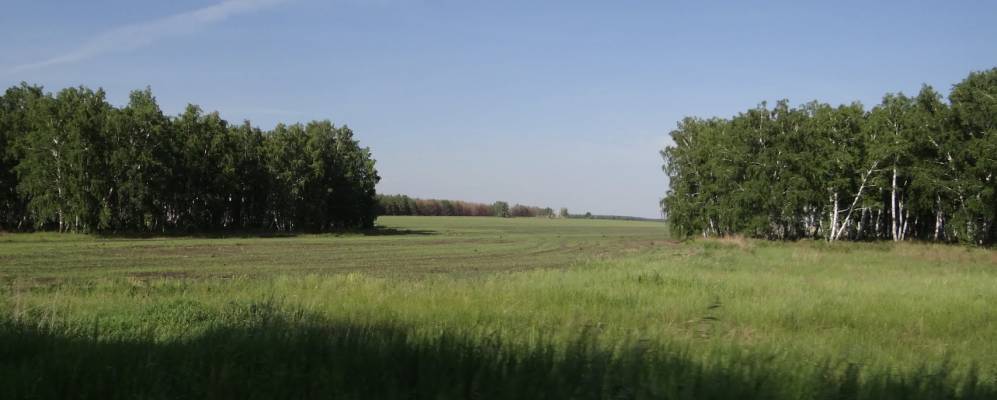 Фотография Большого Кривинского