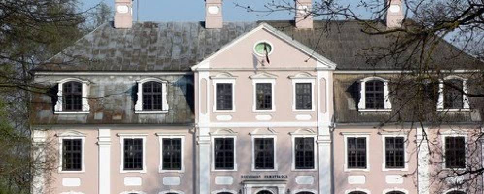 
            Фотография Dzelzava