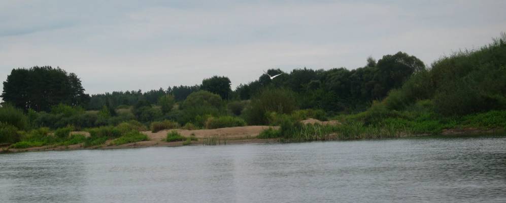 
            Фотография Леонполя