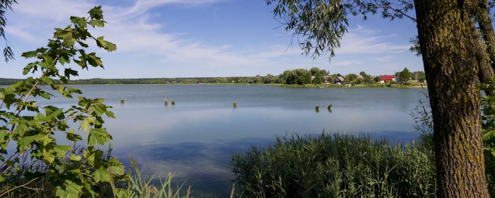 Фотография Каменистой