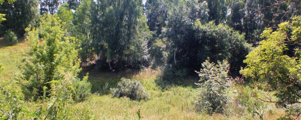 Фотография Маринков