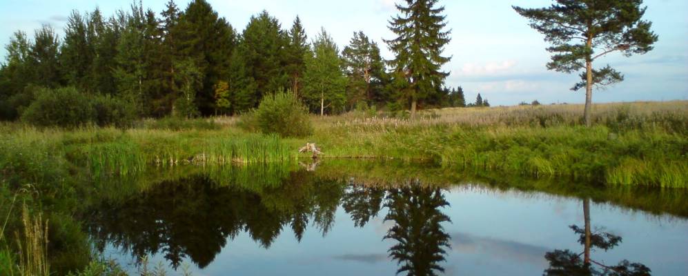 
            Фотография Изоры