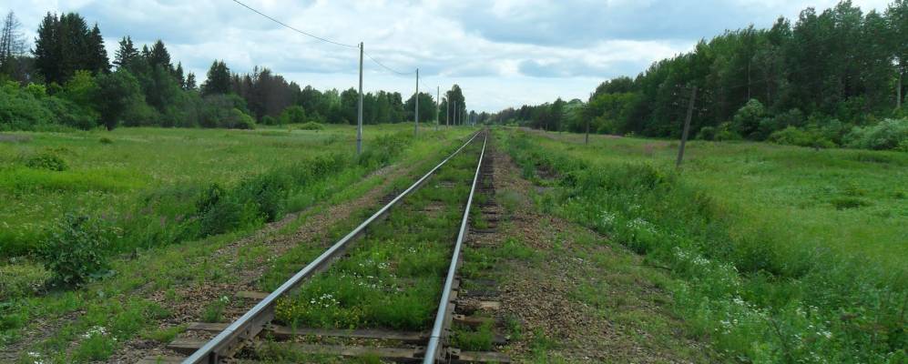 
            Фотография Парши