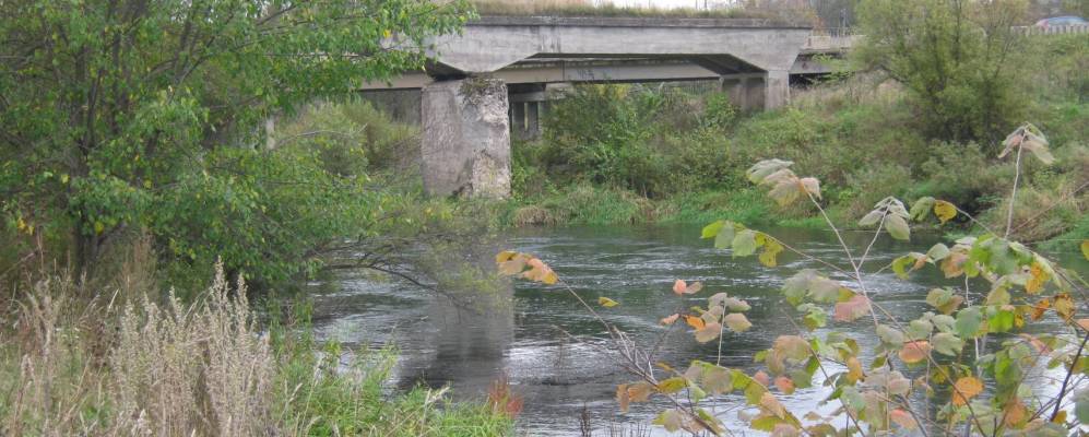 
            Фотография Иренского