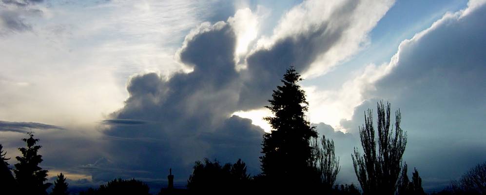 Фотография Москоу