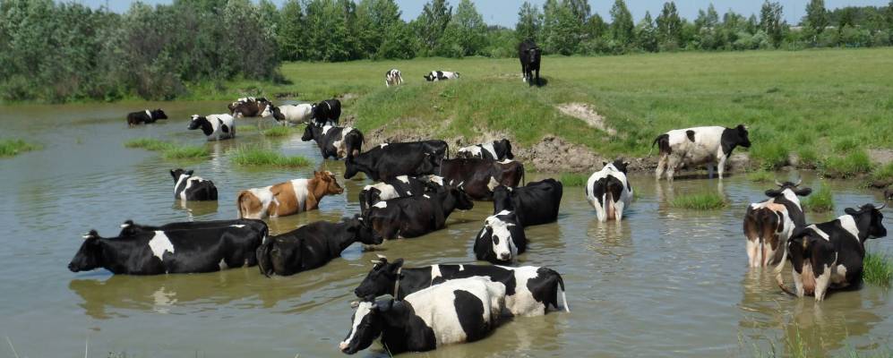 
            Фотография Добровольца