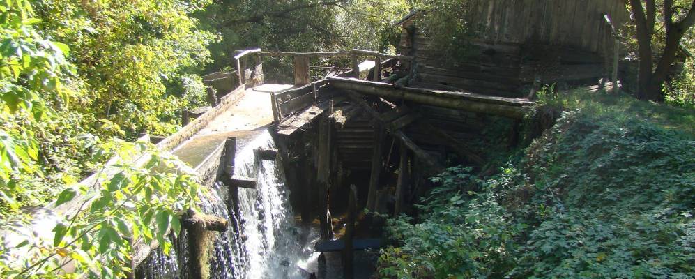 
            Фотография Котово