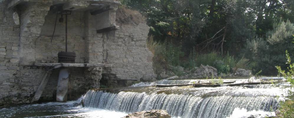 Фотография Чернозелья