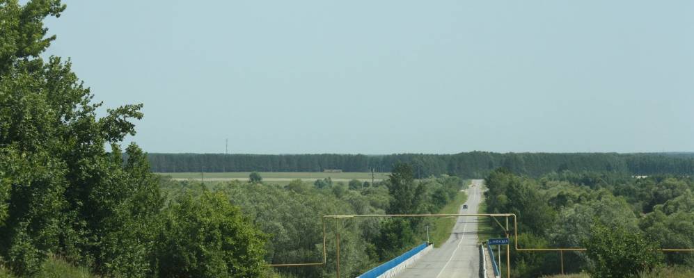 
            Фотография Стародевичьего