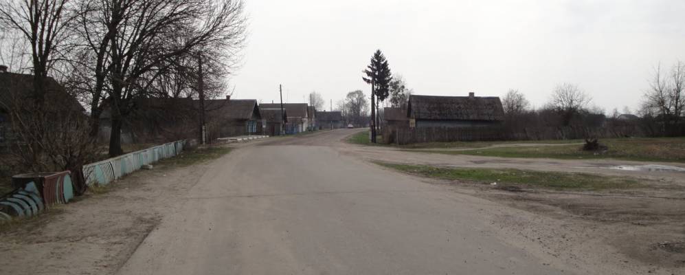 
            Фотография Муравчего