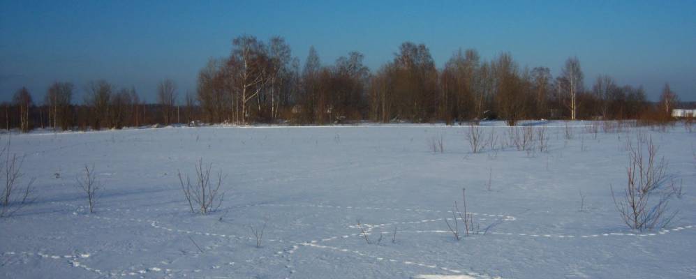 
            Фотография Пирогово