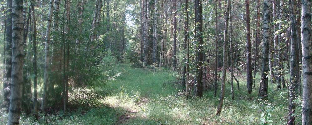 Фотография Арефьево