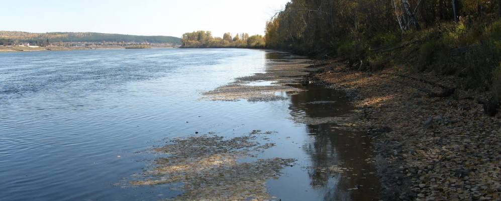 Фотография Питаевы