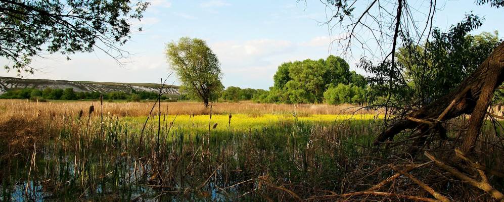 
            Фотография Рождествено