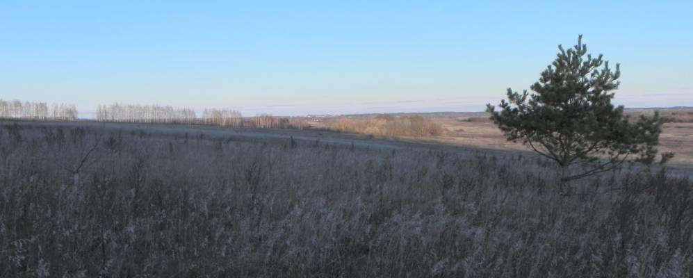 
            Фотография Куриловки