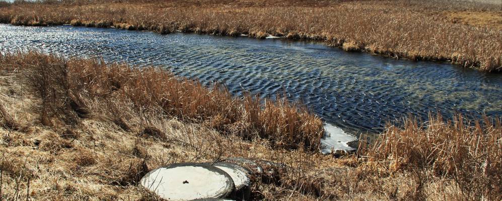 Фотография Петровки