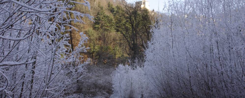 Фотография Пураска