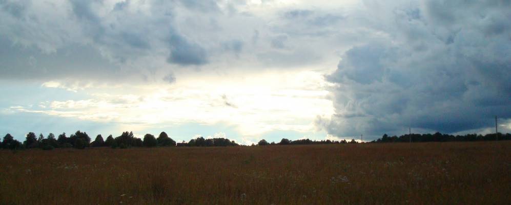 Фотография Борисовского