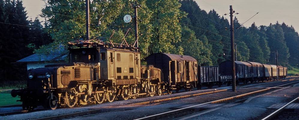 
            Фотография Франкенмаркта