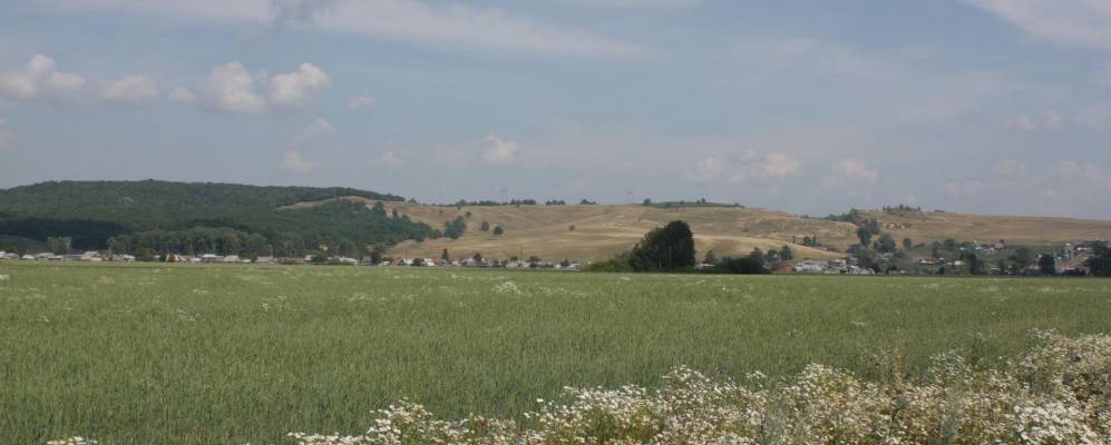 
            Фотография Новокамышево