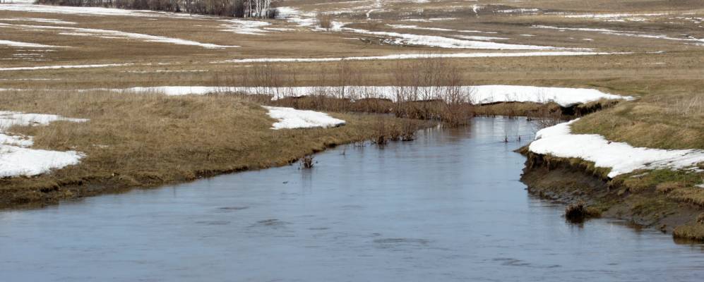 
            Фотография Сириклей