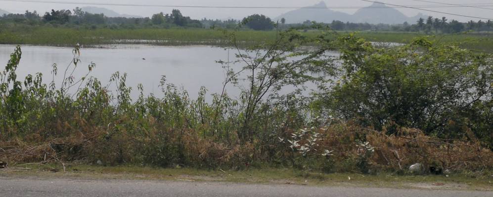 
            Фотография Нараьянаванама